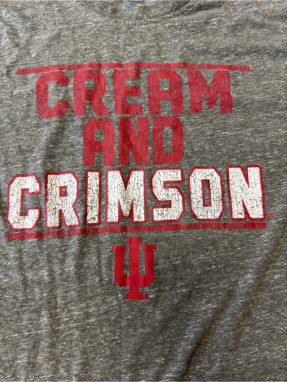 Champion Heather Gray Tee with Red and White 'Cream and Crimson' Print XL - Picture 4 of 7